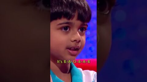 Which word has the most B’s in it?🐝 #littlebigshots #talentshow #spellingbee